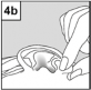 Cetraxal Comp Laboratorios Salvat, SA øredråber, opløsning 3+0,25 mg/ml