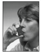 Serevent Paranova Danmark A/S inhalationsspray, suspension 25 mikrogram/dosis