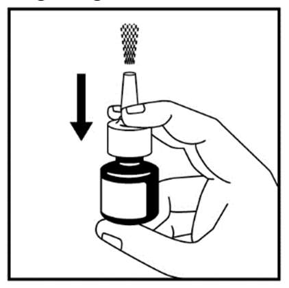 Fluticasonfuroat &quot;Teva&quot; næsespray, suspension 27,5 mikrogram/pust Teva B.V.