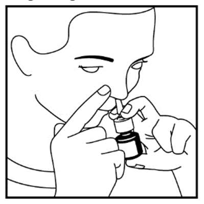 Fluticasonfuroat &quot;Teva&quot; næsespray, suspension 27,5 mikrogram/pust Teva B.V.