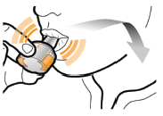 Tovanor Breezhaler 2care4 ApS inhalationspulver, hård kapsel 44 mikrogram
