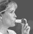 Symbicort Mite Turbuhaler AstraZeneca A/S inhalationspulver 4,5+80 mikrog/dosis