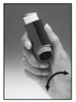 Serevent Paranova Danmark A/S inhalationsspray, suspension 25 mikrogram/dosis