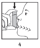 Innovair Paranova Danmark A/S inhalationsspray, opløsning 100+6 mikrog./dosis