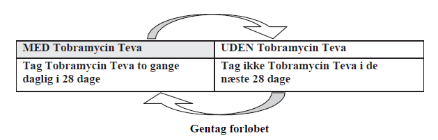 Tobramycin &quot;Teva&quot; Teva B.V. inhalationsvæske til nebulisator, opløsning 300 mg/5 ml 300 mg/5 ml inhalationsvæske til nebulisator, opløsning