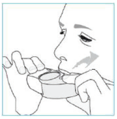 Innovair Nexthaler Paranova Danmark A/S inhalationspulver 100+6 mikrog./dosis
