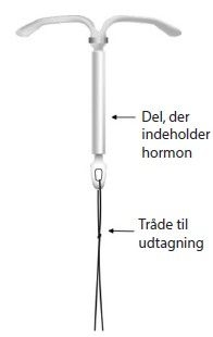 Kyleena intrauterint indlæg 19,5 mg 2care4 ApS