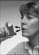 Flixotide GlaxoSmithKline Pharma A/S inhalationsspray, suspension 50 mikrogram/dosis, 125 mikrogram/dosis og 250 mikrogram/dosis