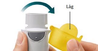 Striverdi Respimat Boehringer Ingelheim Int. GmbH inhalationsvæske, opløsning 2,5 mikrogram