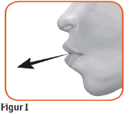 Duaklir Genuair 2care4 ApS inhalationspulver 340 + 12 mikrog.