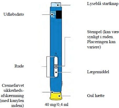 AMGEVITA injektionsvæske, opløsning i fyldt pen 40 mg Amgen Europe BV