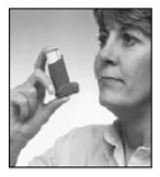 Serevent Paranova Danmark A/S inhalationsspray, suspension 25 mikrogram/dosis
