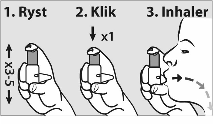 Formo Easyhaler Orion Corporation inhalationspulver 12 mikrogram/dosis