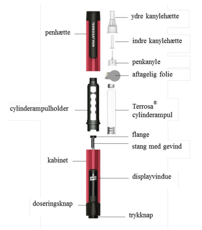 Terrosa Gedeon Richter Plc. injektionsvæske, opløsning i cylinderampul, injektionsvæske, opløsning i fyldt pen 20 mikrog/80 mikrol.