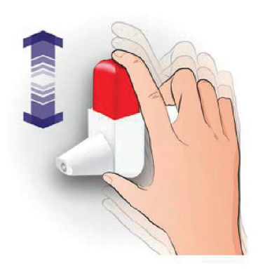 Bufomix Easyhaler 2care4 ApS inhalationspulver 9+320 mikrog/dosis